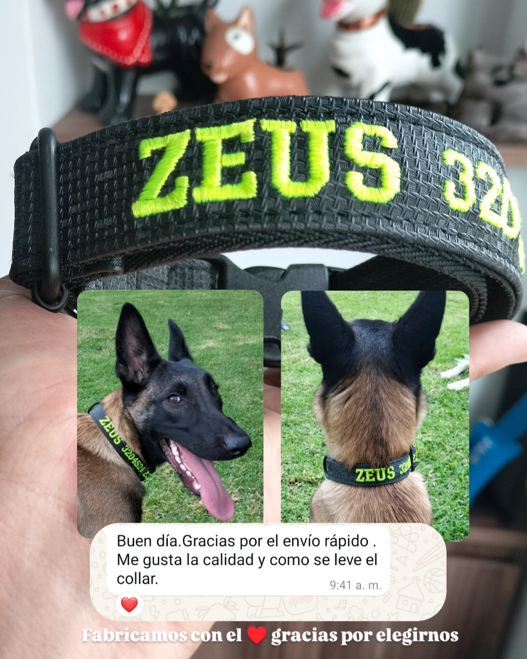 testimonio collar